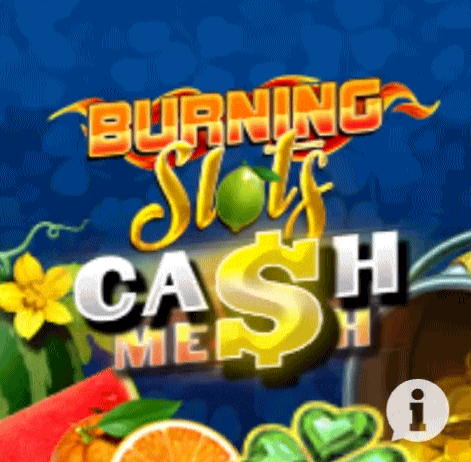 play Burning Slots in spinboss casino